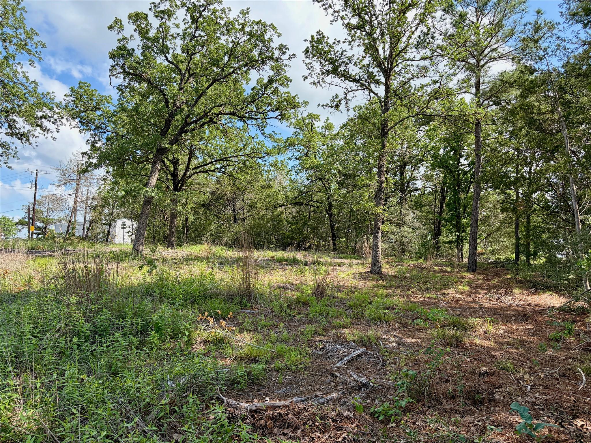 Lots-97/98 Shawnee Dr, Smithville, TX 78957