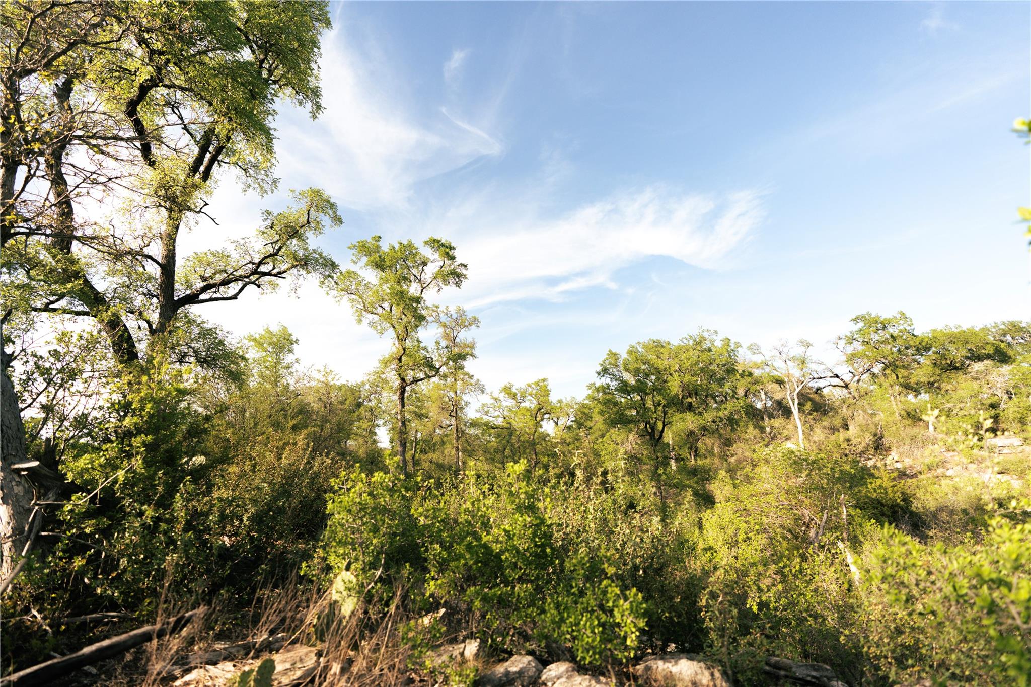 157 Chick Ranch Loop, Blanco, TX 78606