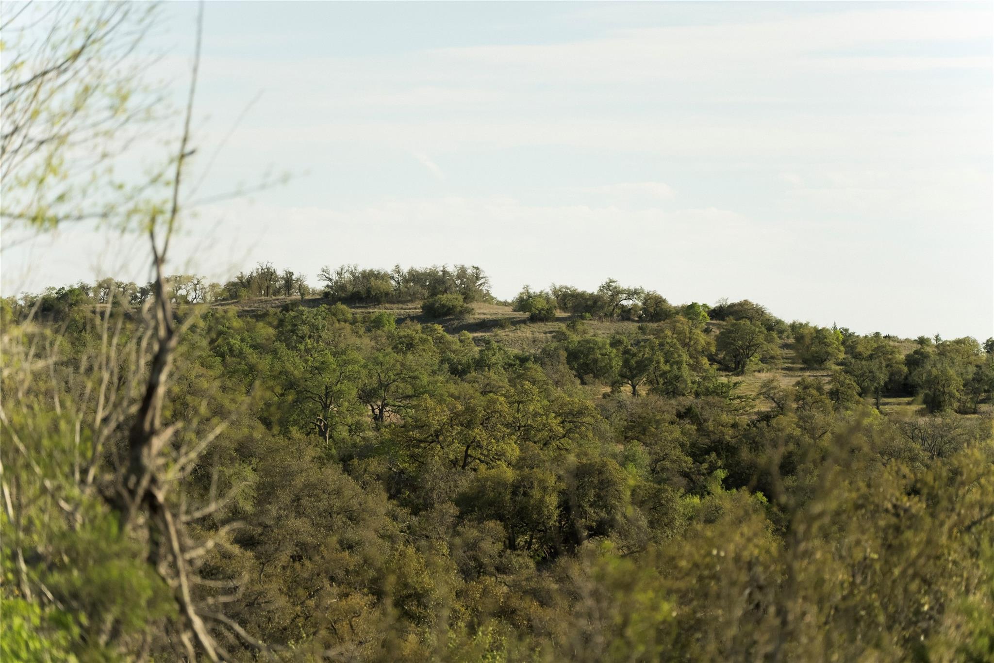 157 Chick Ranch Loop, Blanco, TX 78606