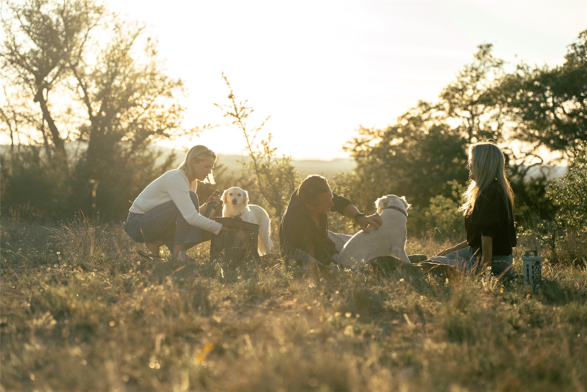 157 Chick Ranch Loop, Blanco, TX 78606