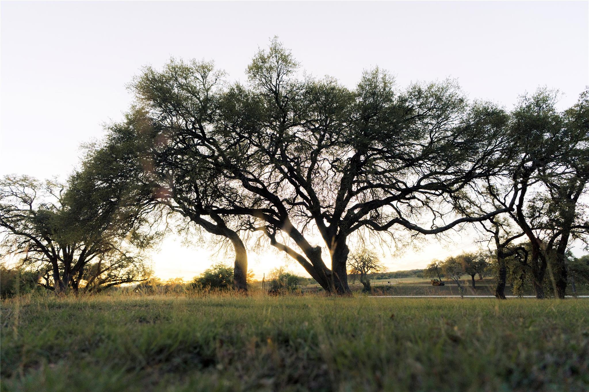 157 Chick Ranch Loop, Blanco, TX 78606