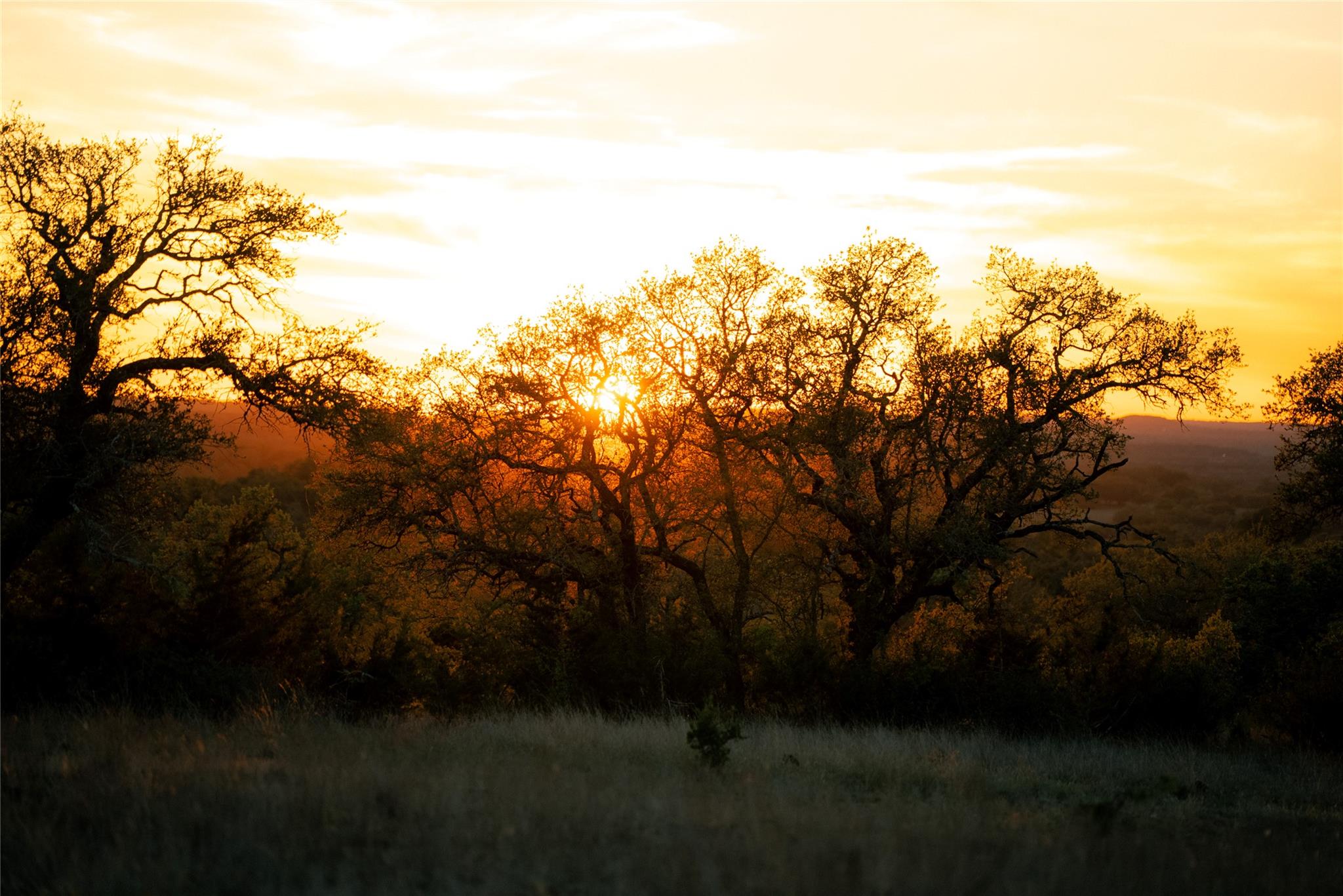 157 Chick Ranch Loop, Blanco, TX 78606