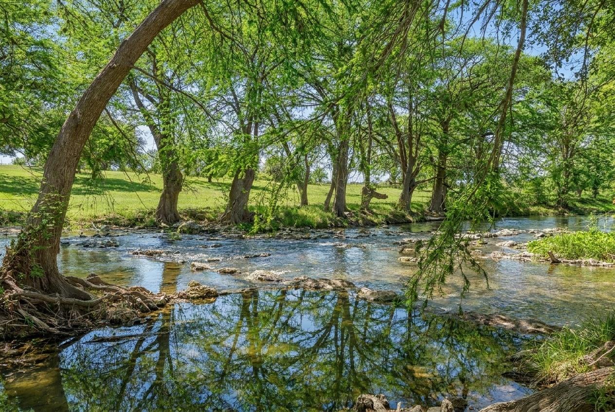 730 Mather St E # F-102, New Braunfels, TX 78130