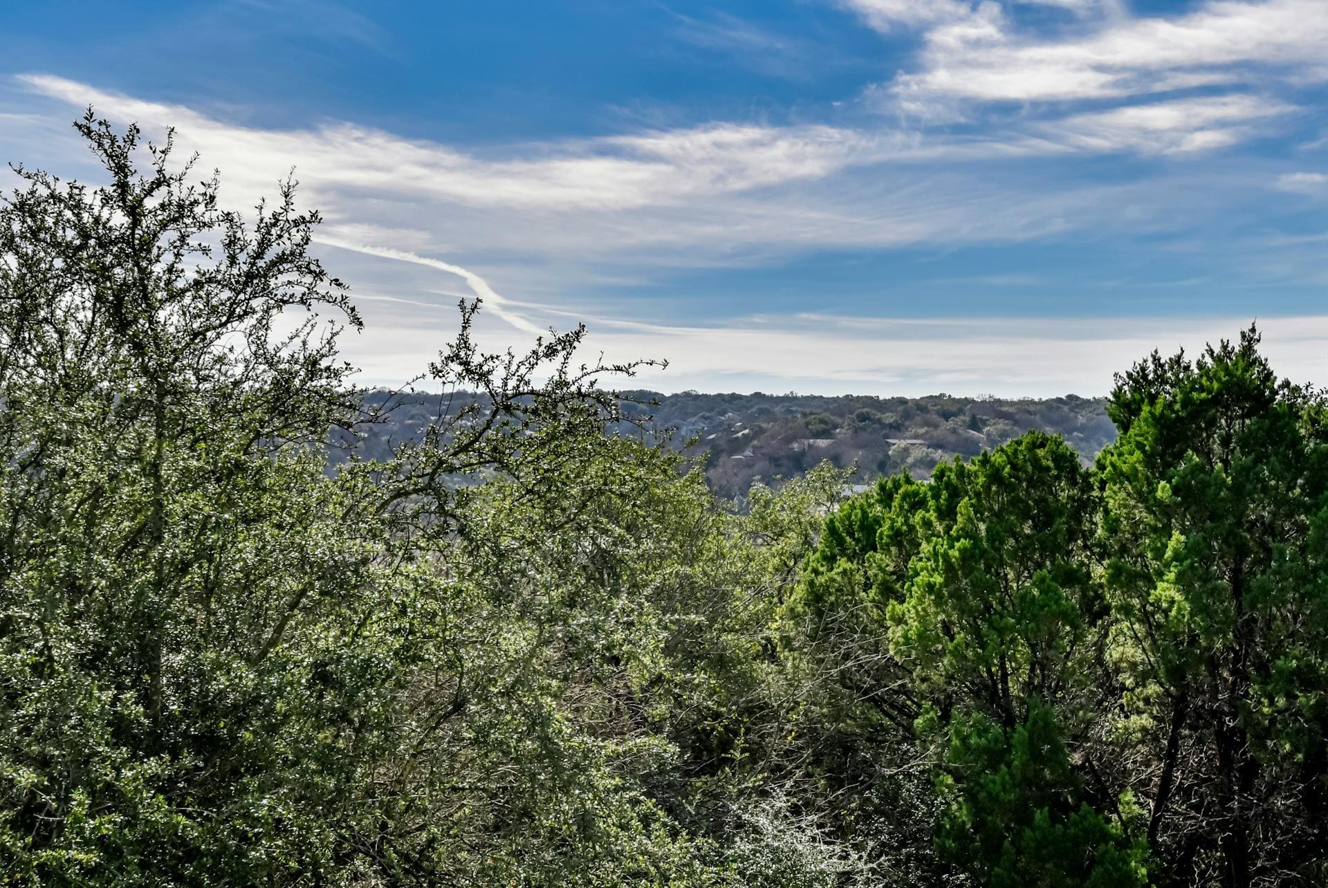 8911 Mount Bartlett Dr, Austin, TX 78759