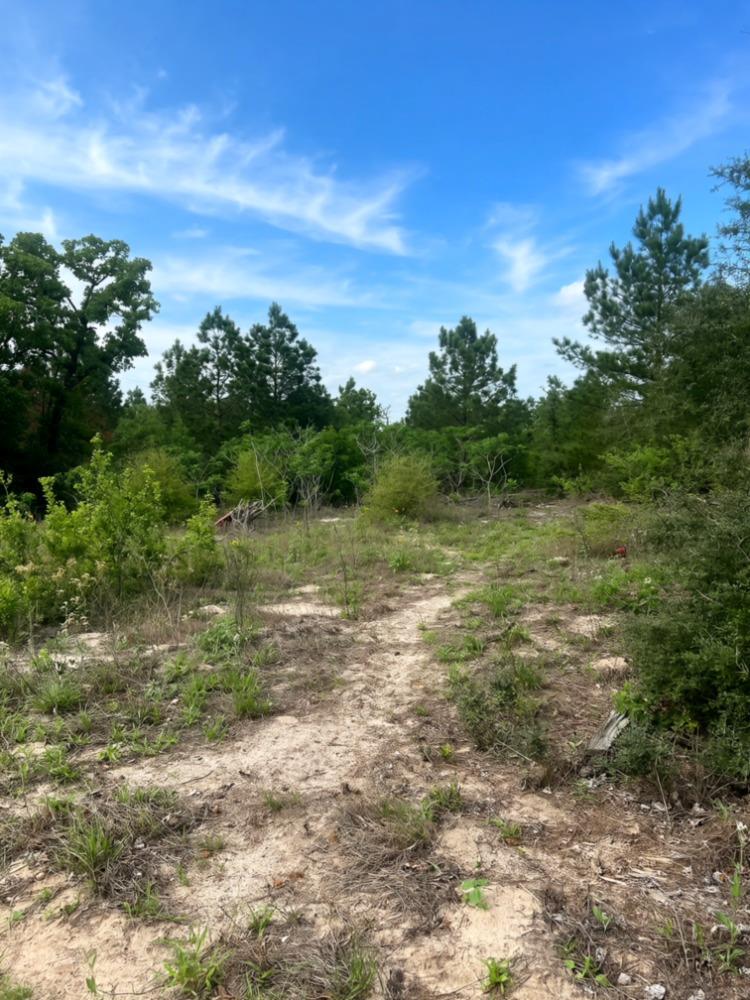 000 Ponderosa Loop Loop, Paige, TX 78602