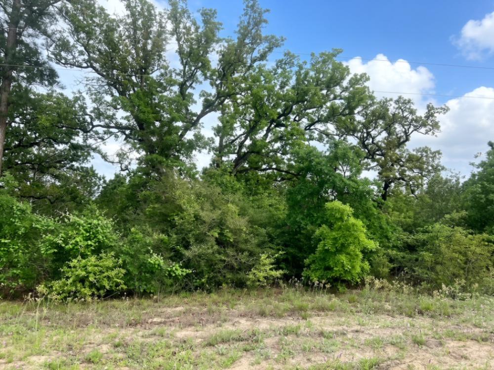 000 Ponderosa Loop Loop, Paige, TX 78602