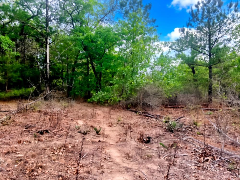 000 Ponderosa Loop Loop, Paige, TX 78602