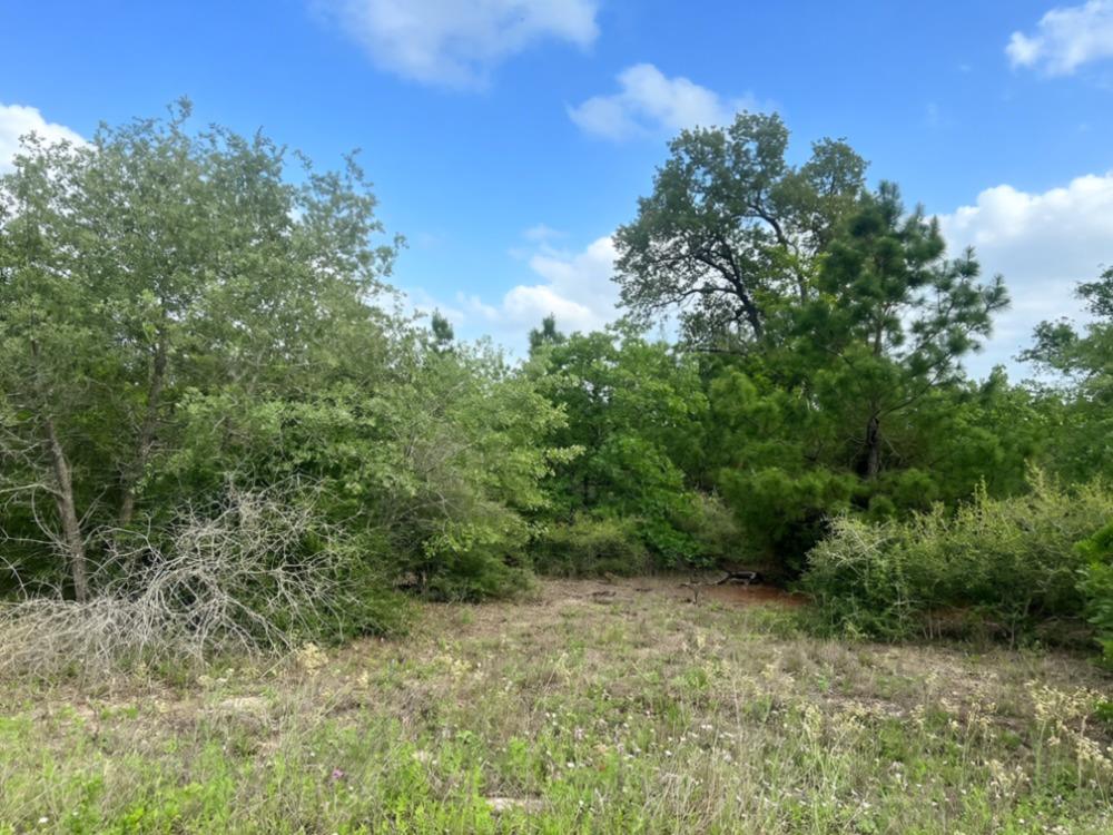 000 Ponderosa Loop Loop, Paige, TX 78602