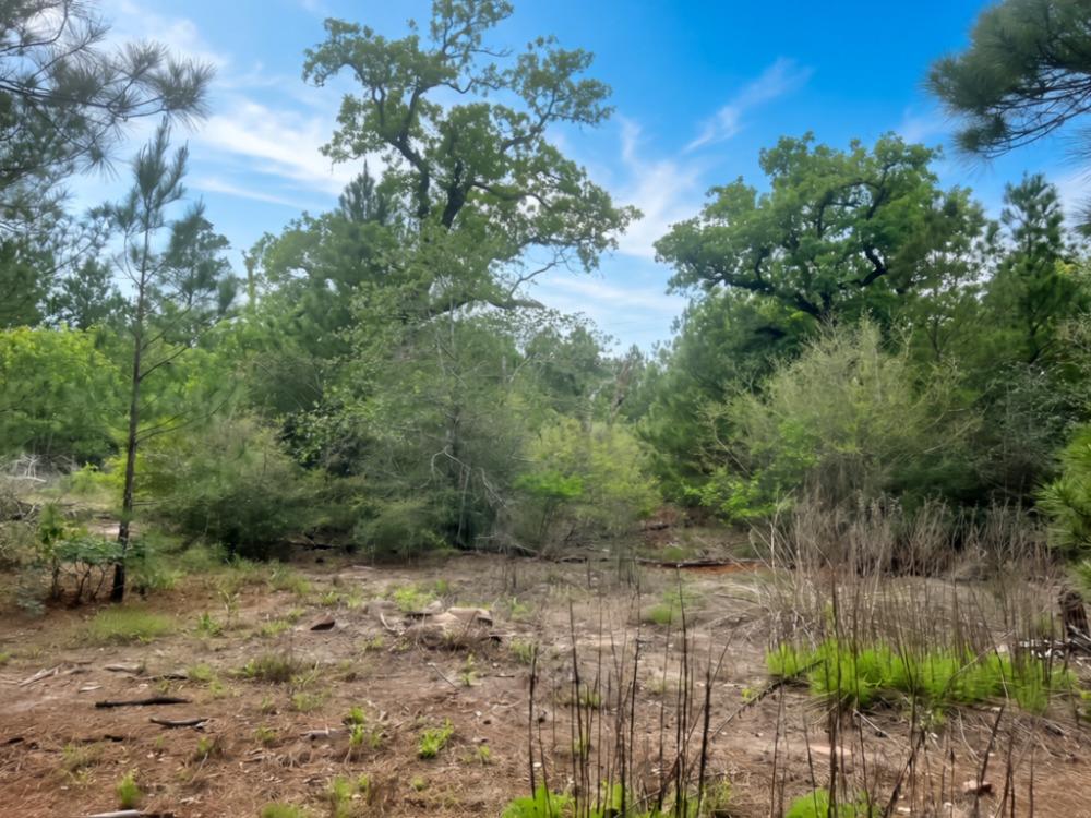 000 Ponderosa Loop Loop, Paige, TX 78602