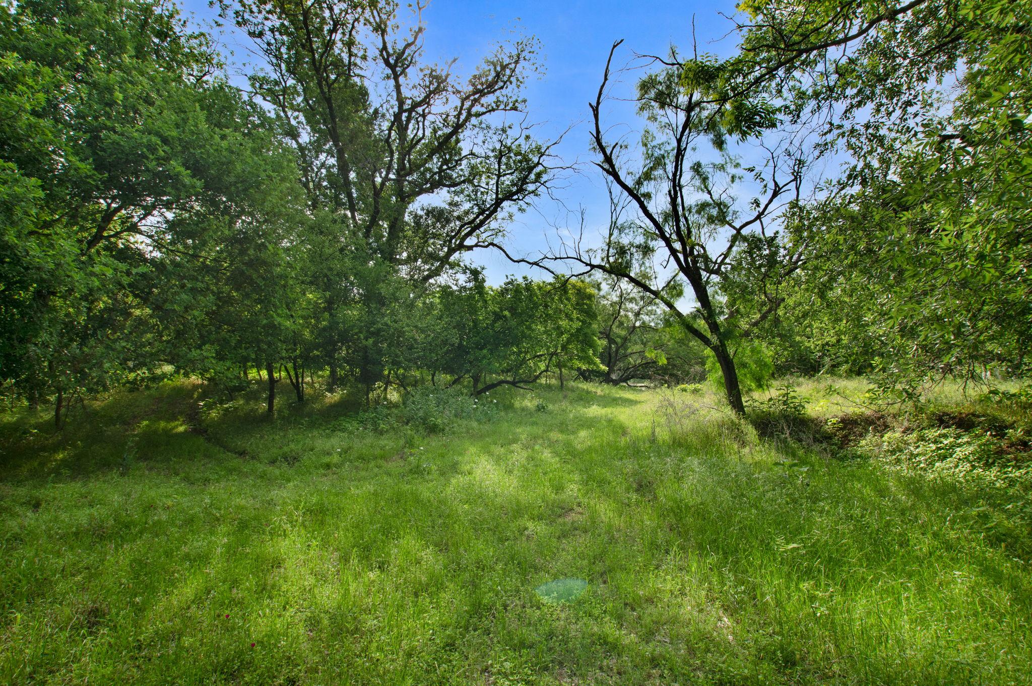 TBD PR 1789, Bend, TX 76824