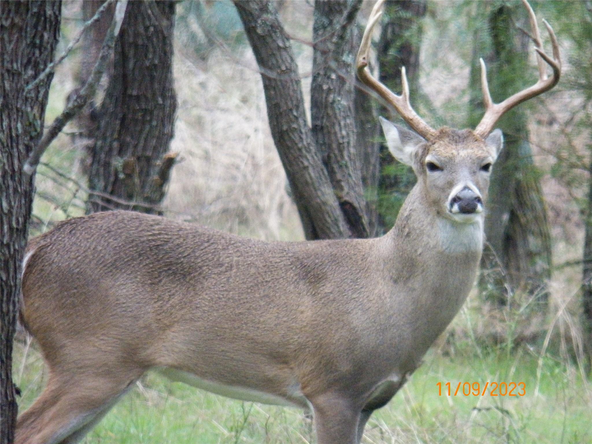 TBD PR 1789, Bend, TX 76824