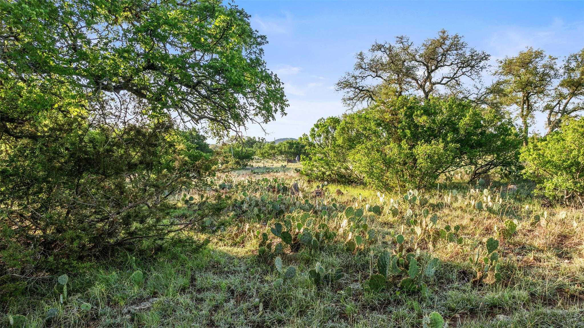 Lot 3 & 4 Vista Ridge Dr, Round Mountain, TX 78663