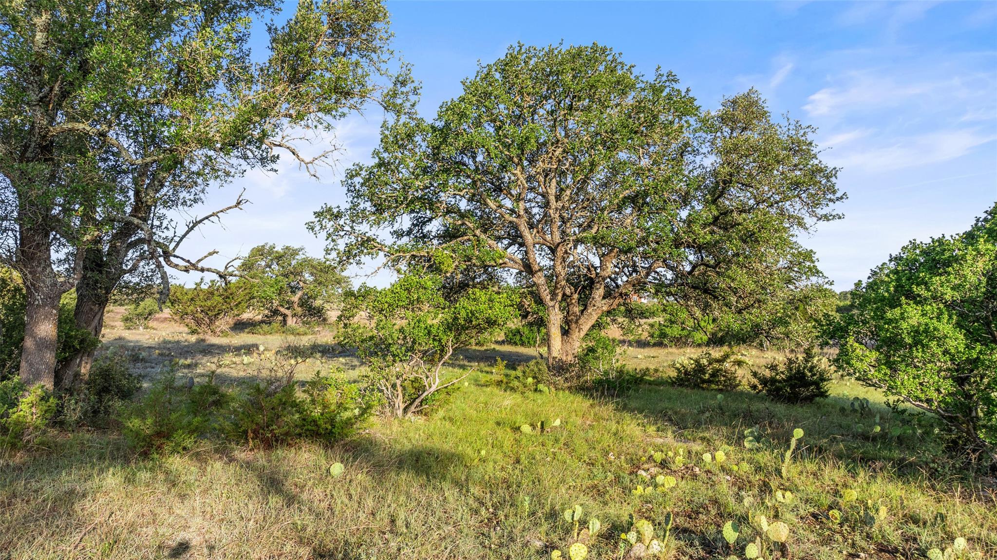 Lot 3 & 4 Vista Ridge Dr, Round Mountain, TX 78663