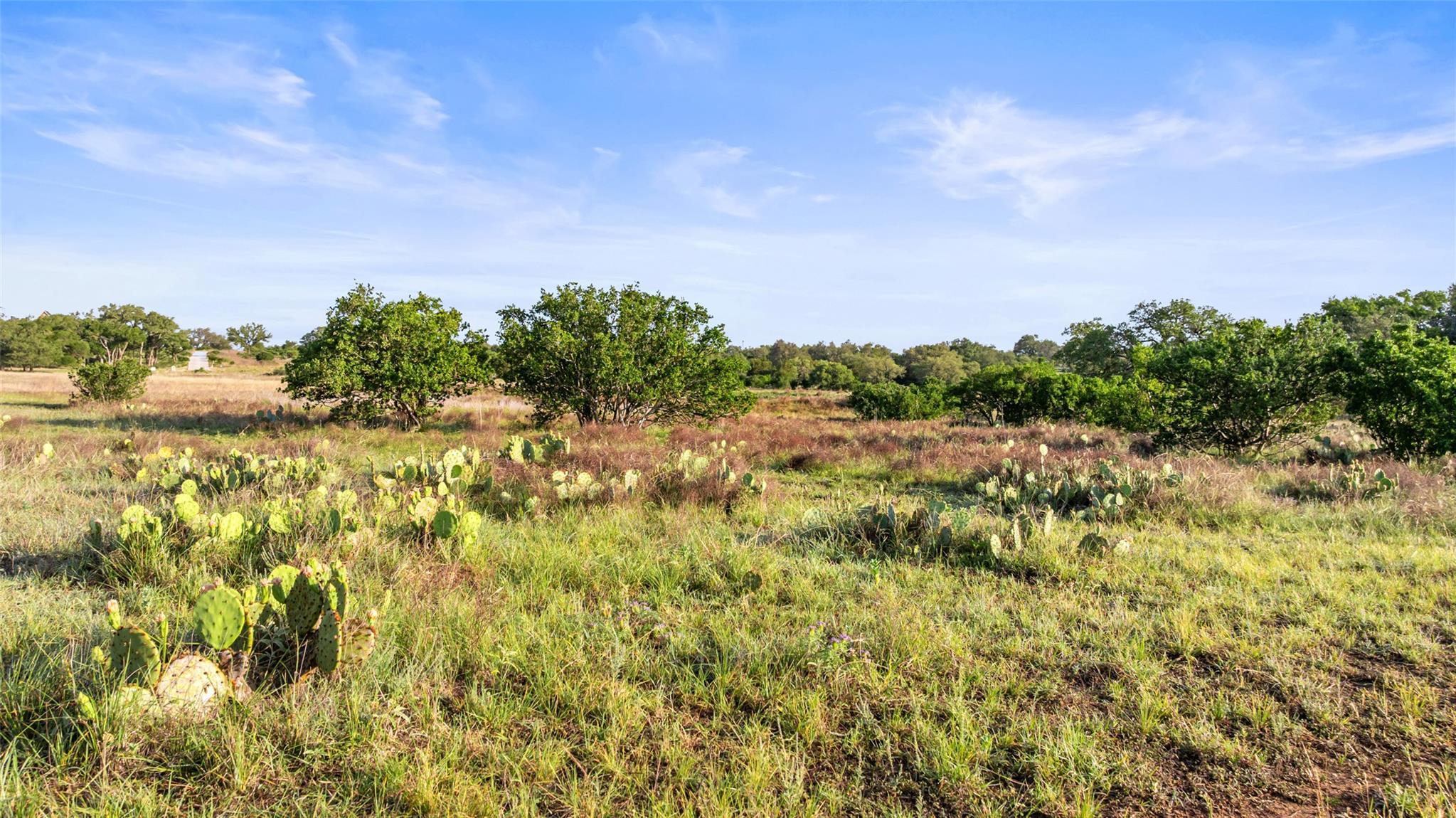 Lot 3 & 4 Vista Ridge Dr, Round Mountain, TX 78663
