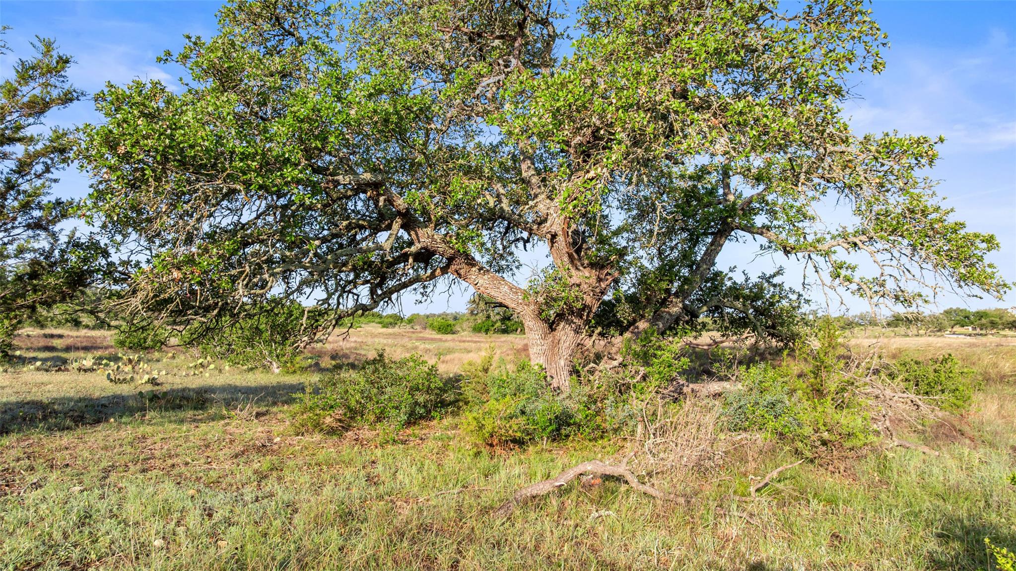 Lot 3 & 4 Vista Ridge Dr, Round Mountain, TX 78663