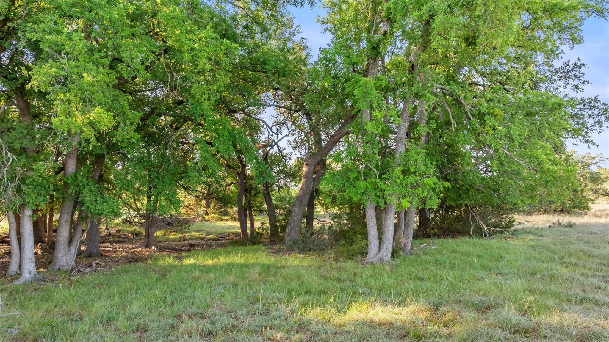 Lot 3 & 4 Vista Ridge Dr, Round Mountain, TX 78663