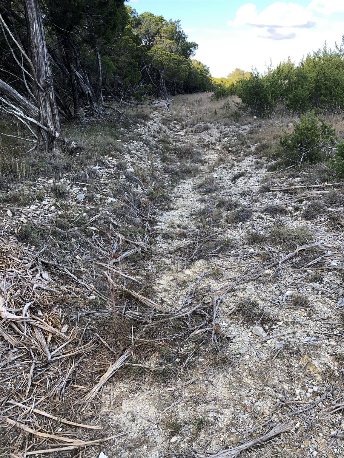 Lot 162 Addax Ct, Lampasas, TX 76550