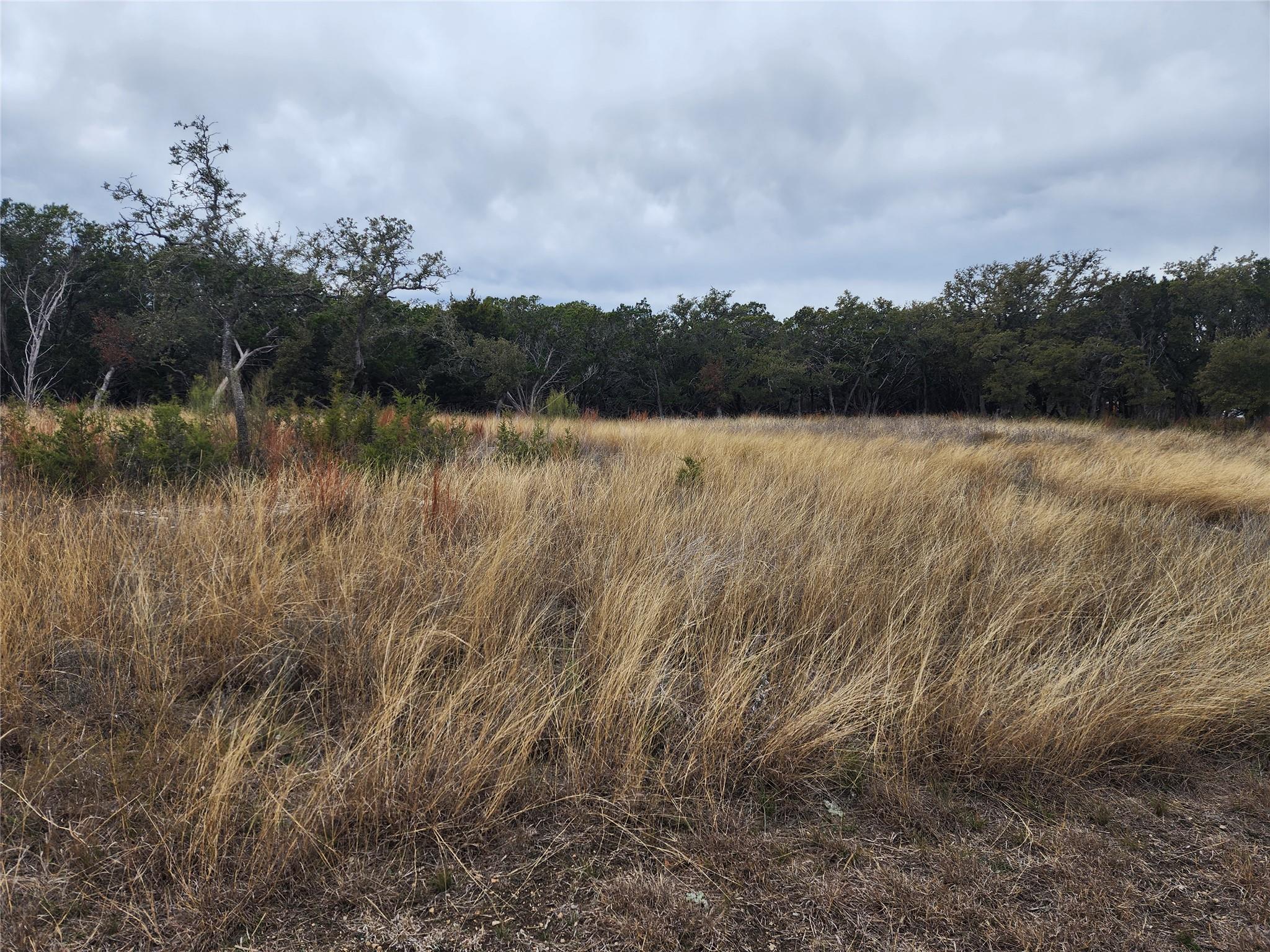 Lot 162 Addax Ct, Lampasas, TX 76550