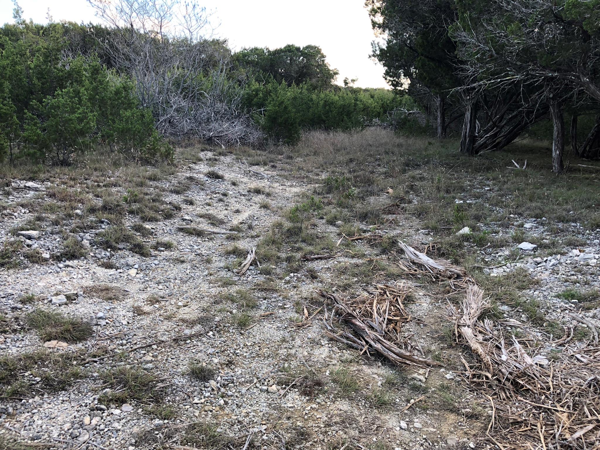 Lot 162 Addax Ct, Lampasas, TX 76550
