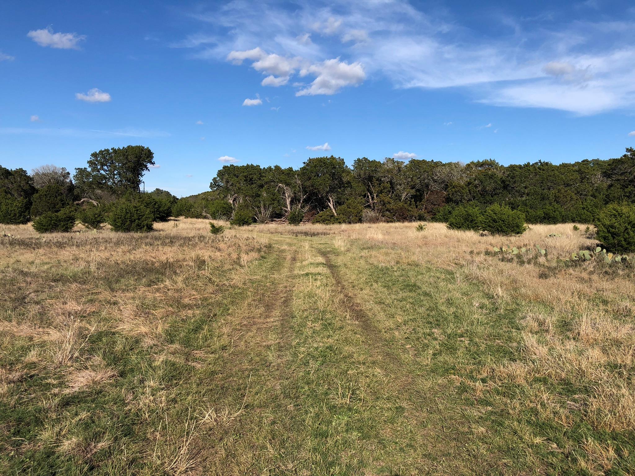 Lot 162 Addax Ct, Lampasas, TX 76550