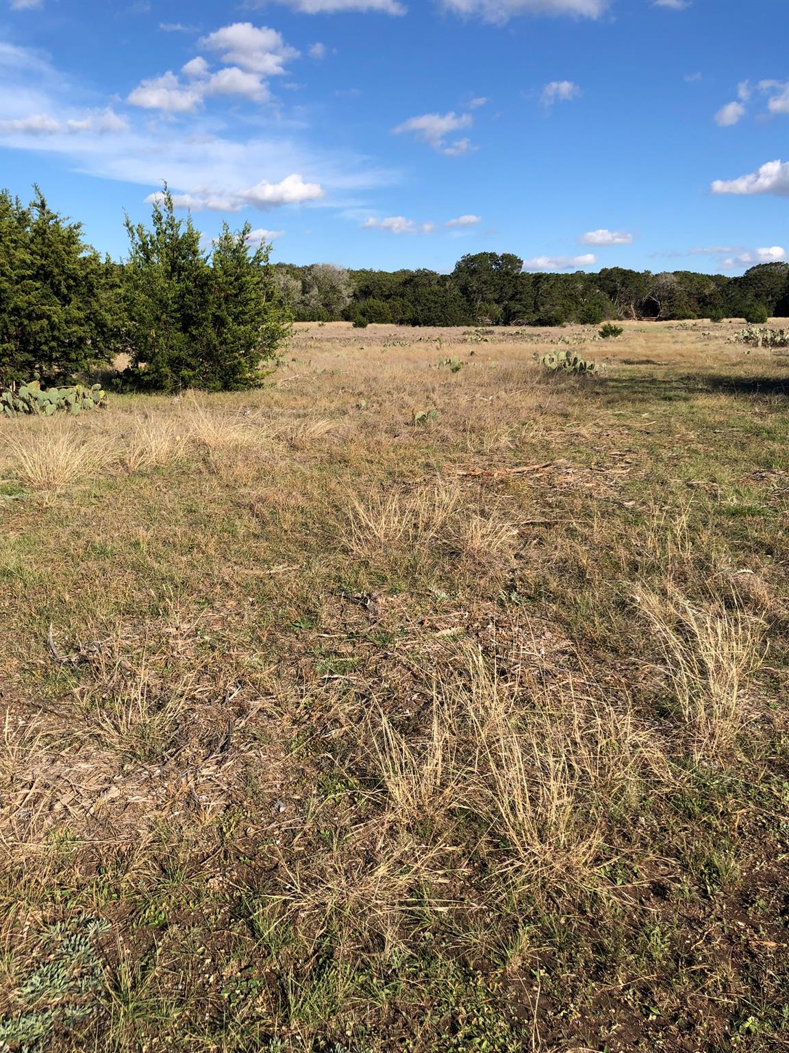 Lot 162 Addax Ct, Lampasas, TX 76550