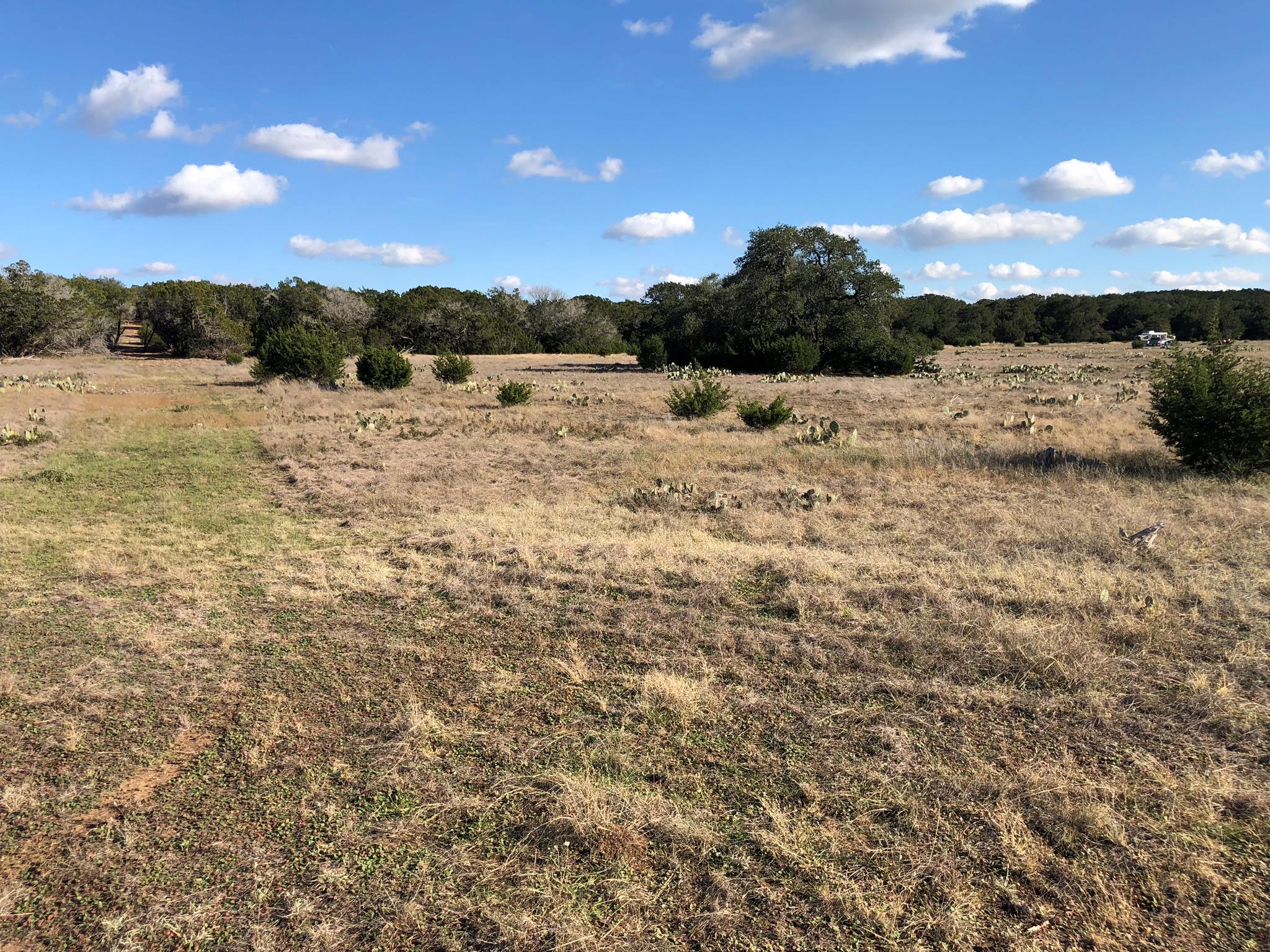 Lot 162 Addax Ct, Lampasas, TX 76550
