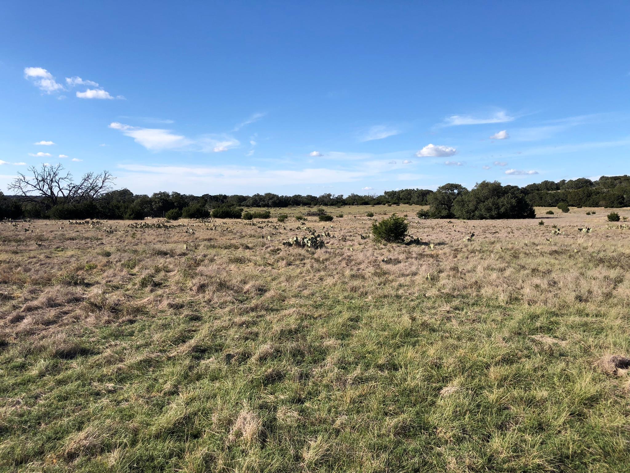 Lot 162 Addax Ct, Lampasas, TX 76550