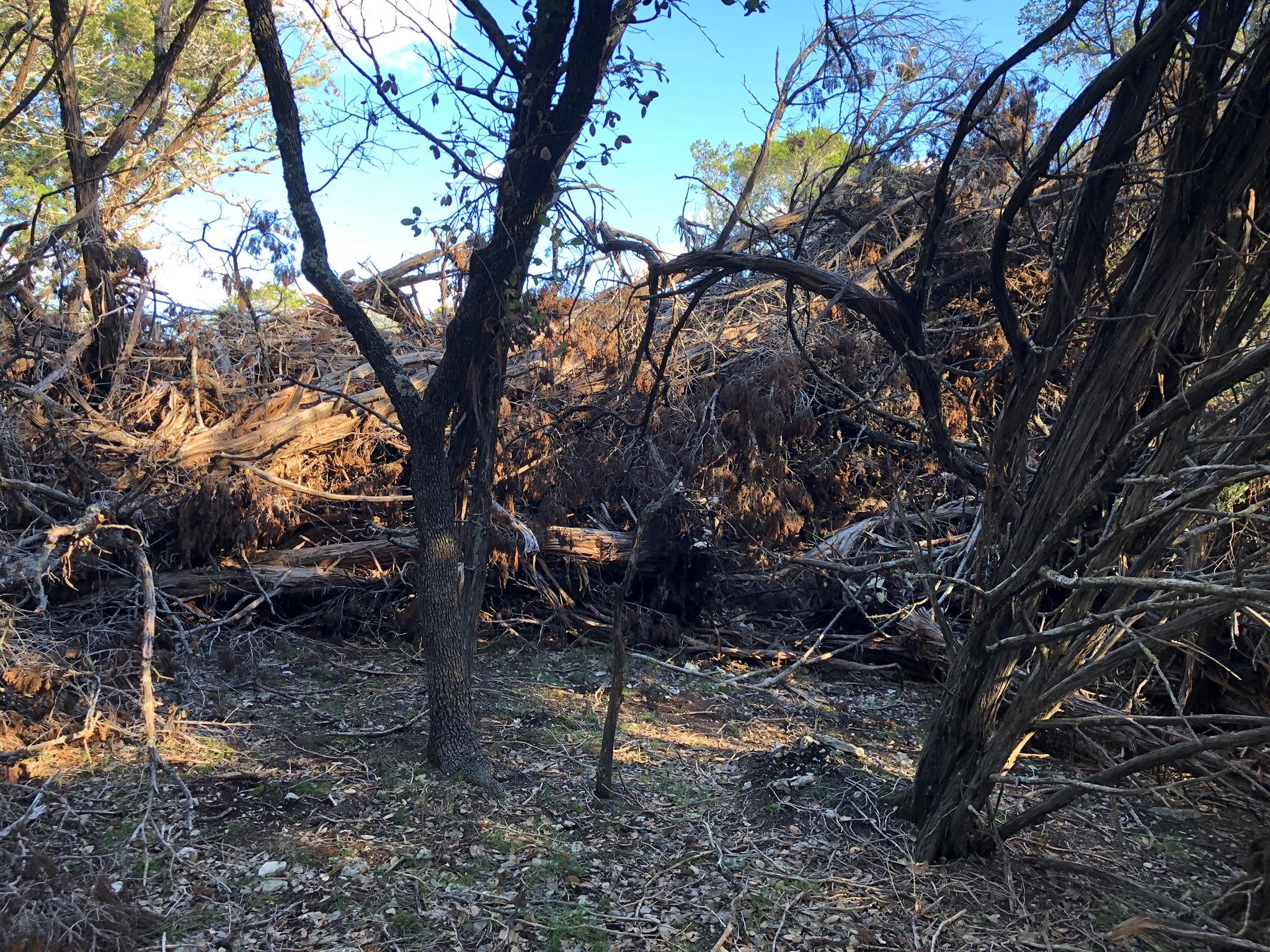 Lot 162 Addax Ct, Lampasas, TX 76550