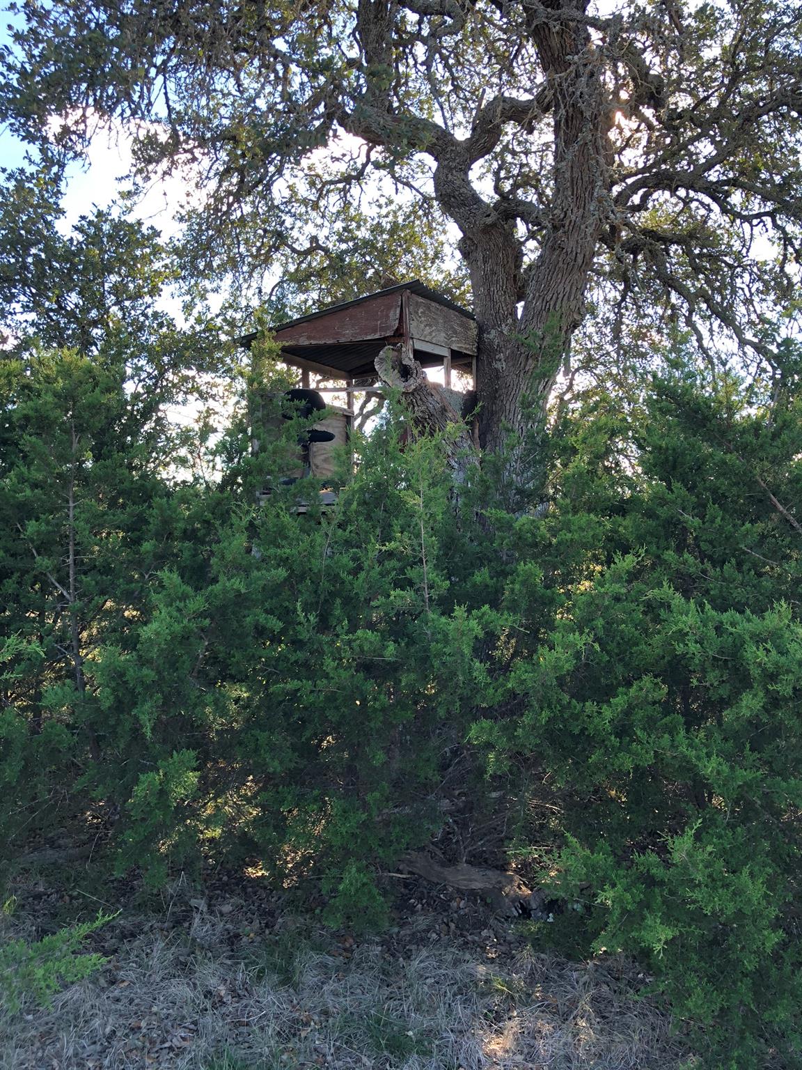 Lot 162 Addax Ct, Lampasas, TX 76550