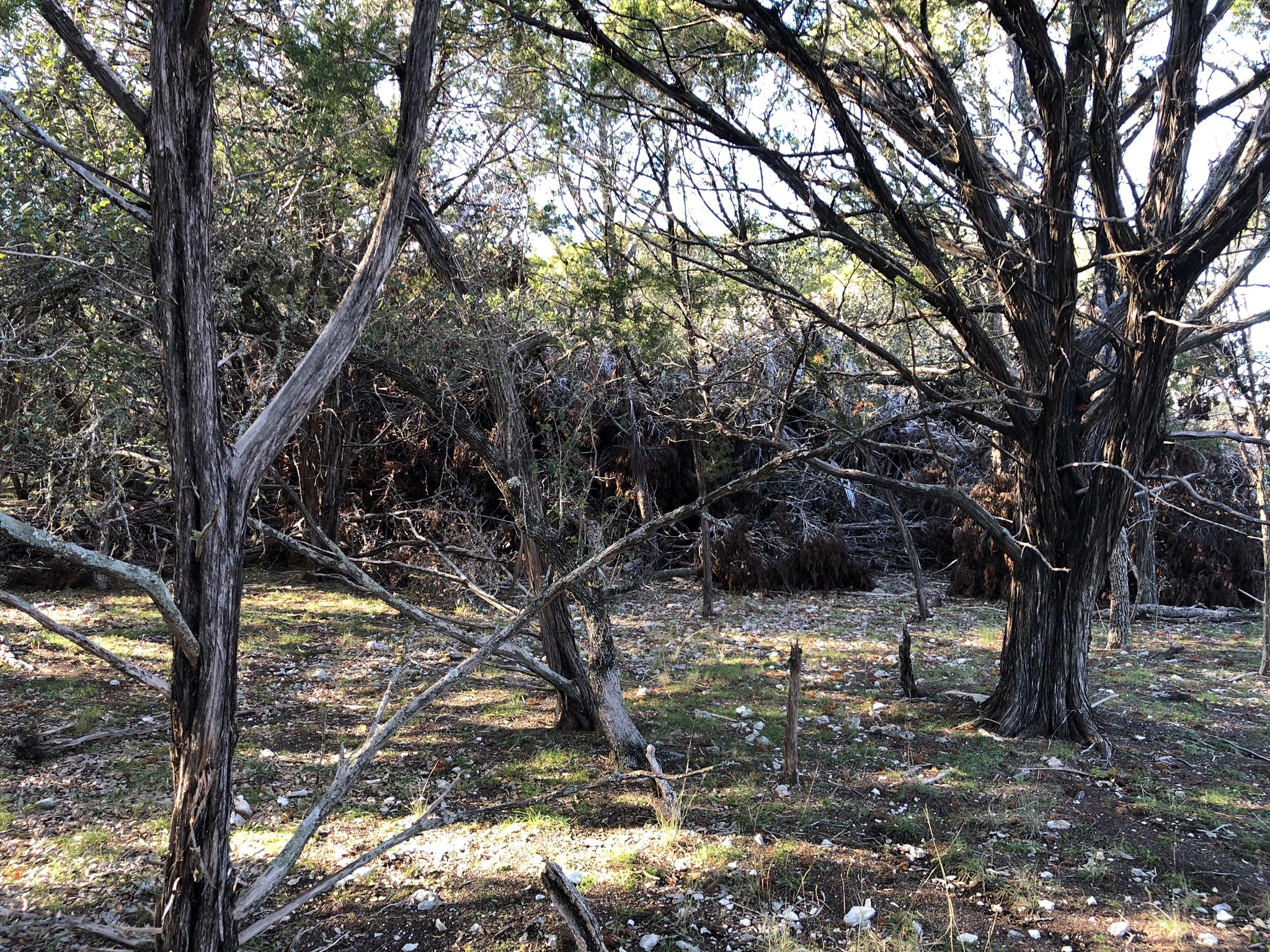 Lot 162 Addax Ct, Lampasas, TX 76550