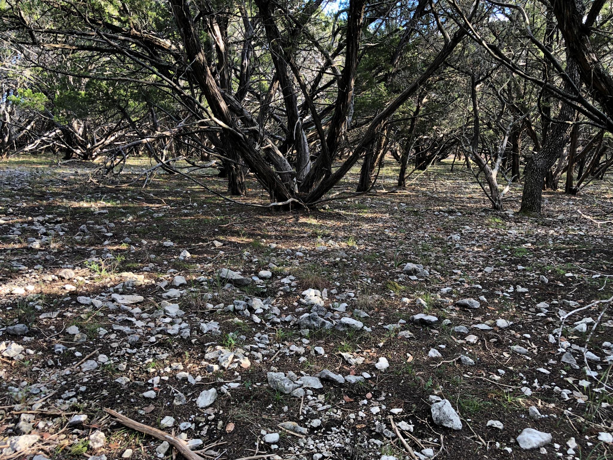 Lot 162 Addax Ct, Lampasas, TX 76550