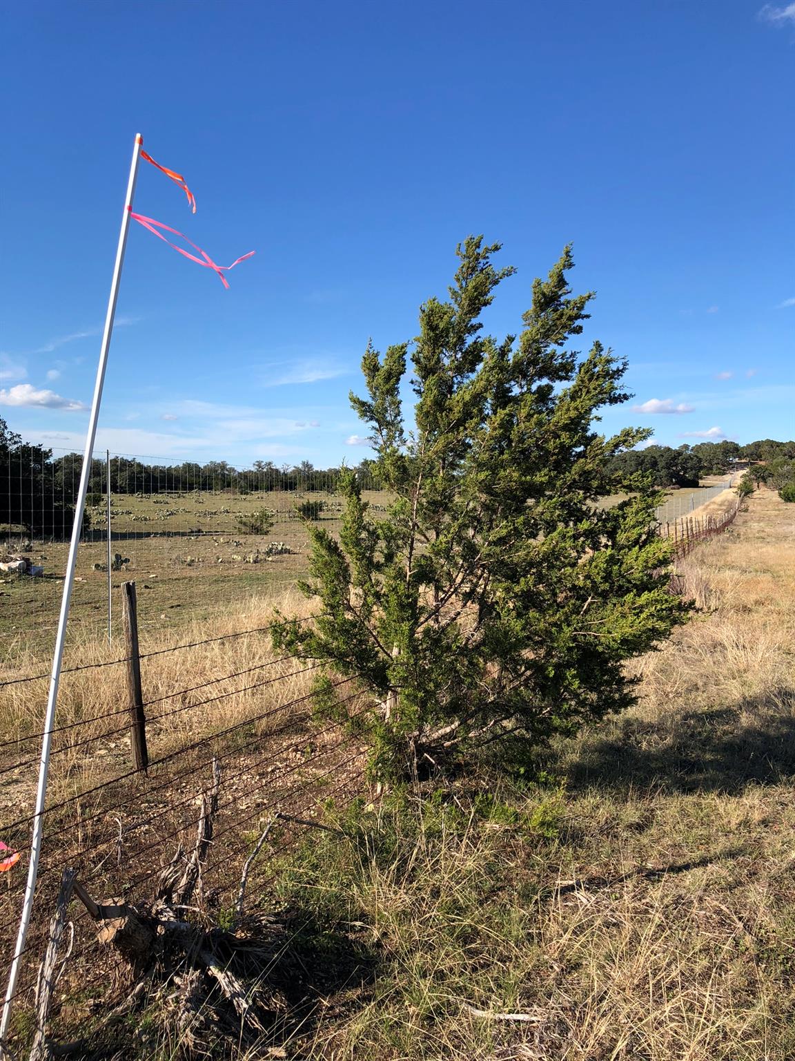 Lot 162 Addax Ct, Lampasas, TX 76550