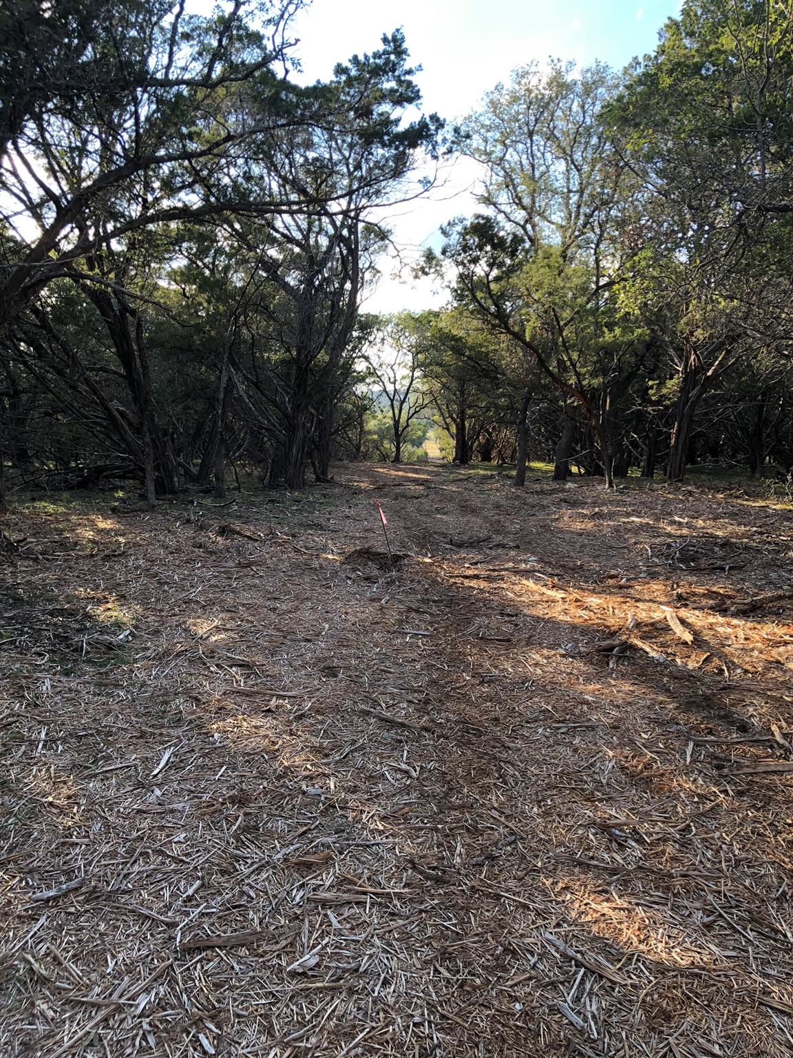 Lot 162 Addax Ct, Lampasas, TX 76550