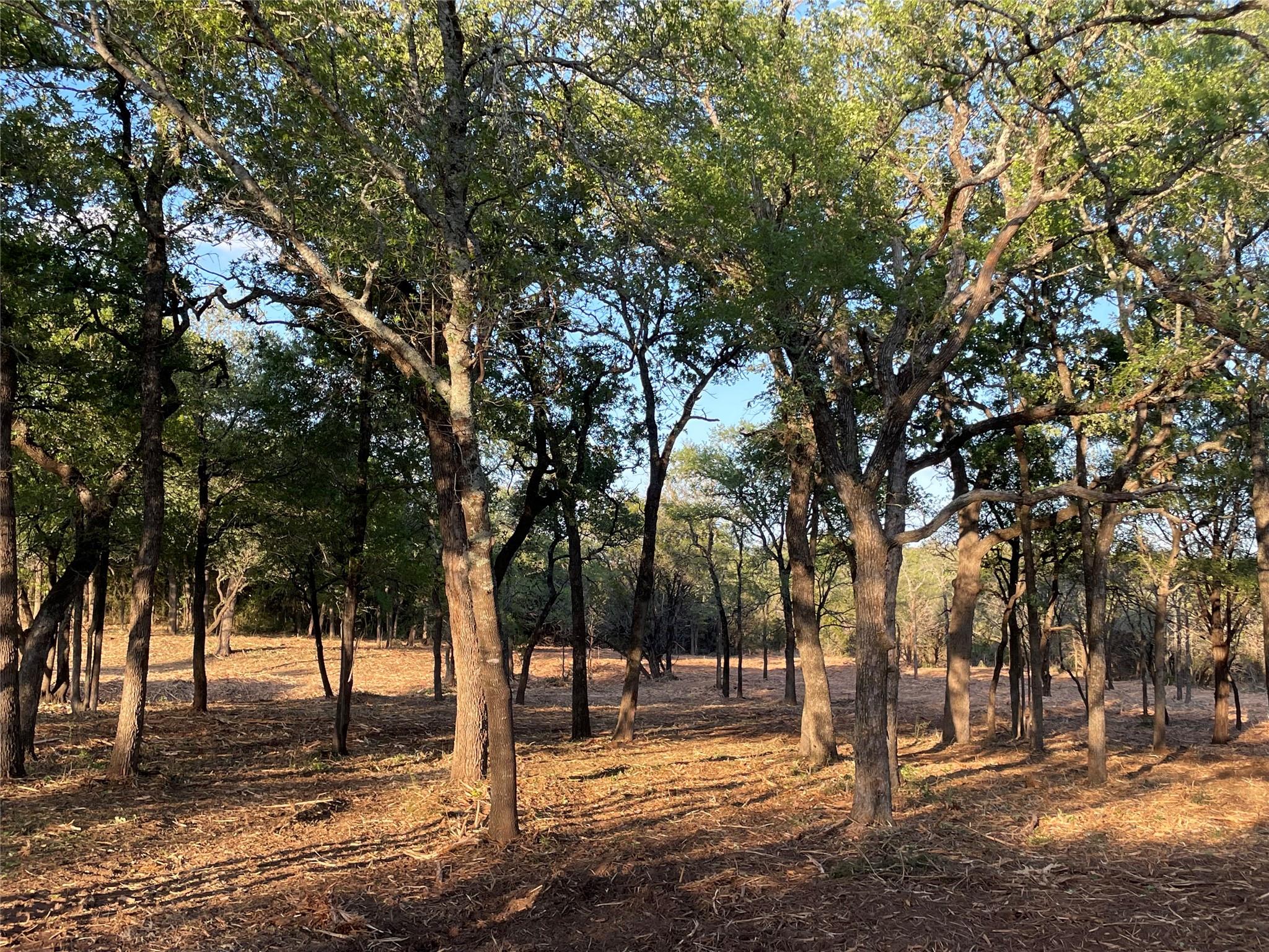 10960 FM 1602 Highway, Jonesboro, TX 76538