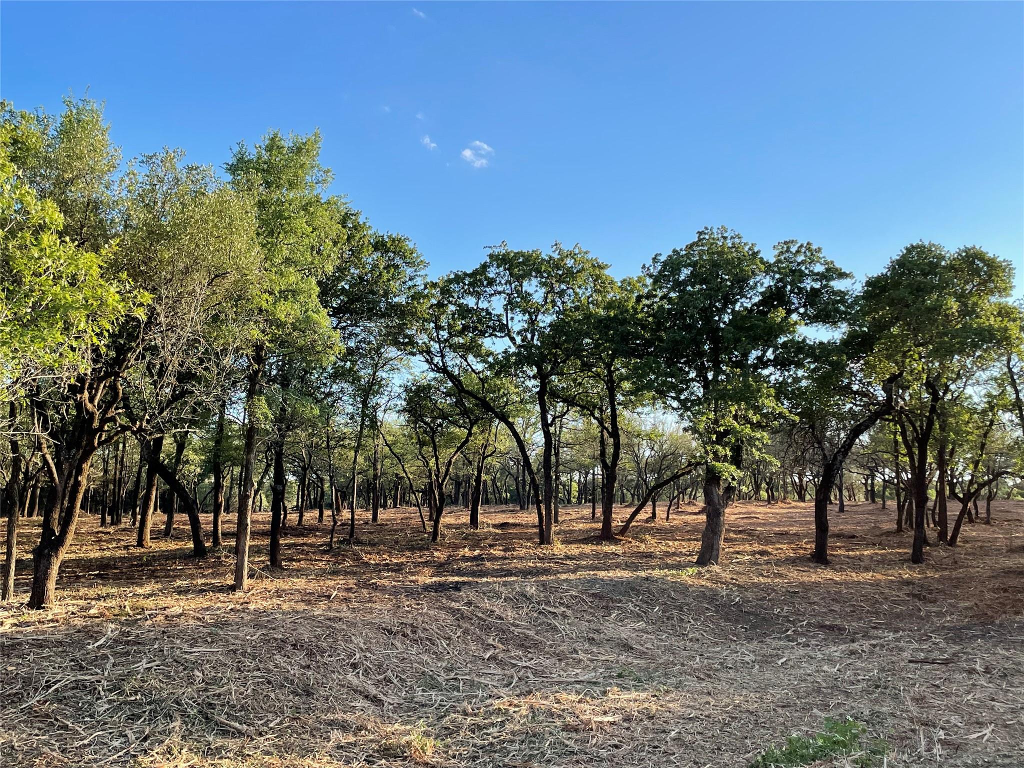 10960 FM 1602 Highway, Jonesboro, TX 76538