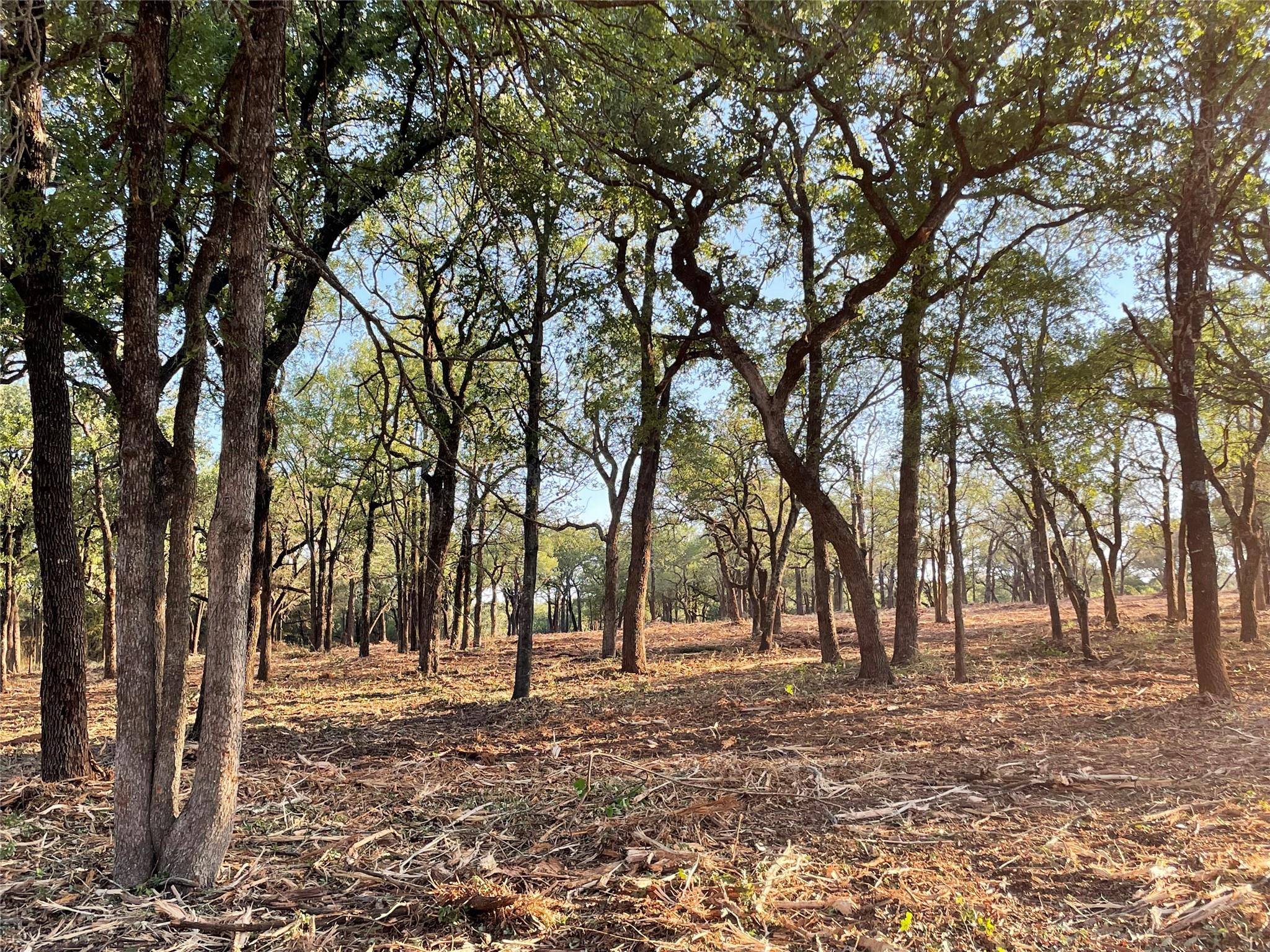 10960 FM 1602 Highway, Jonesboro, TX 76538