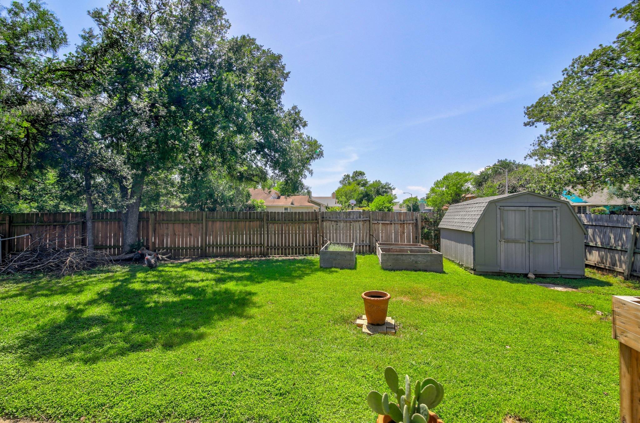 709 Sapling Cv, Cedar Park, TX 78613