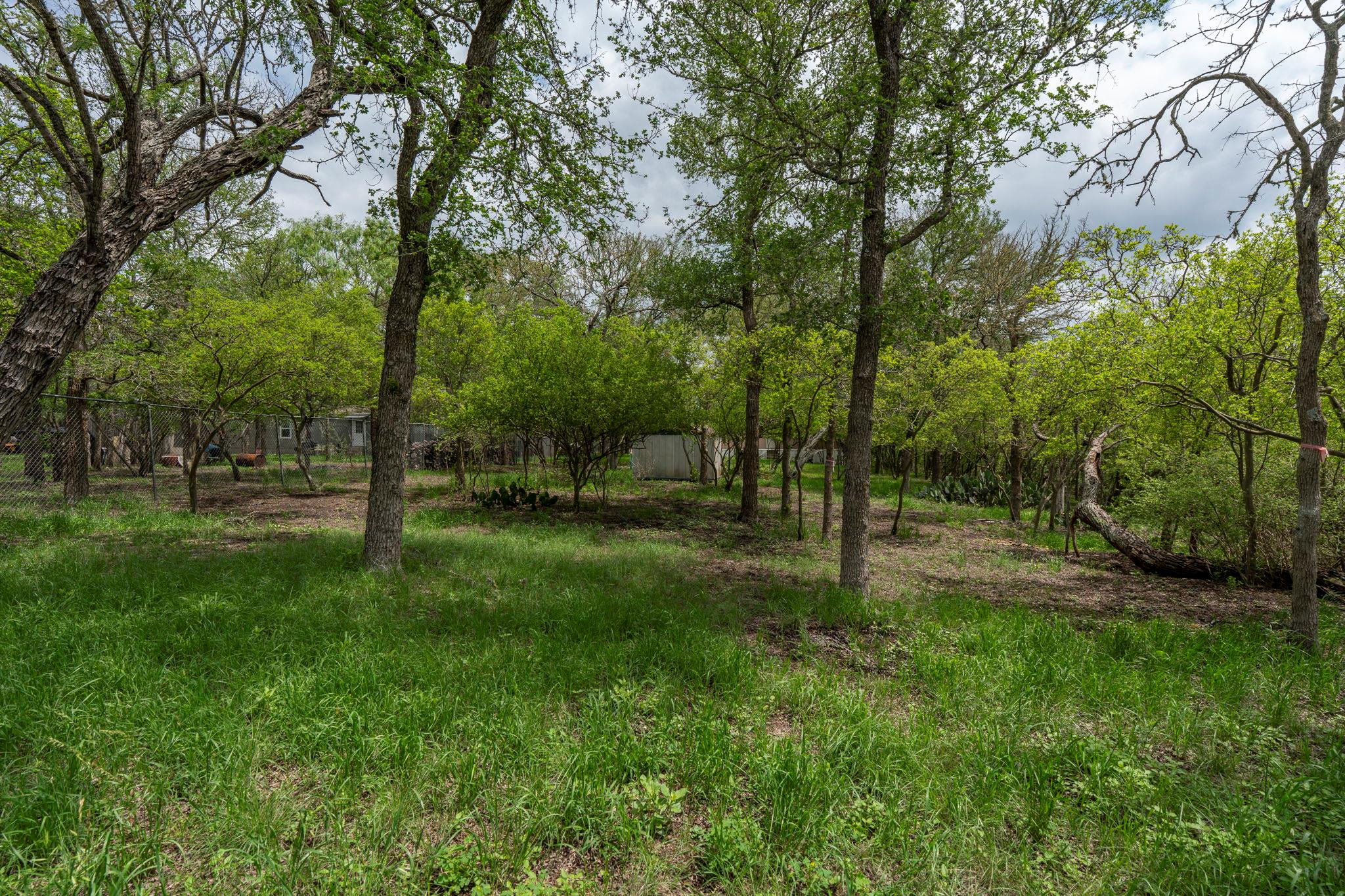 110 Oak Holw, Dale, TX 78616