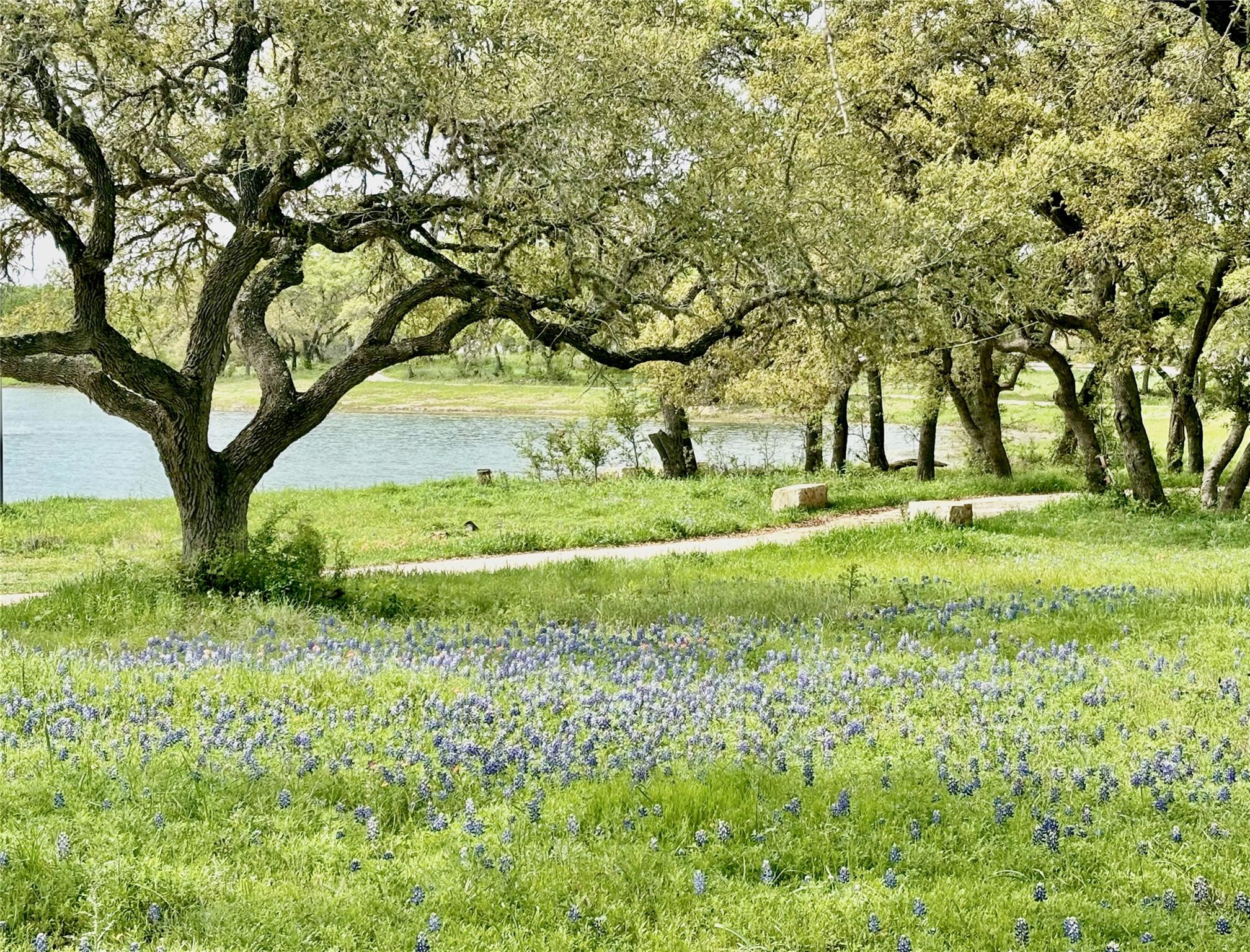 503 Painted Creek Way, Kyle, TX 78640