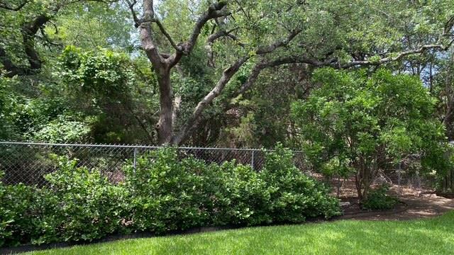 821 Wagon Wheel Trl, Georgetown, TX 78628