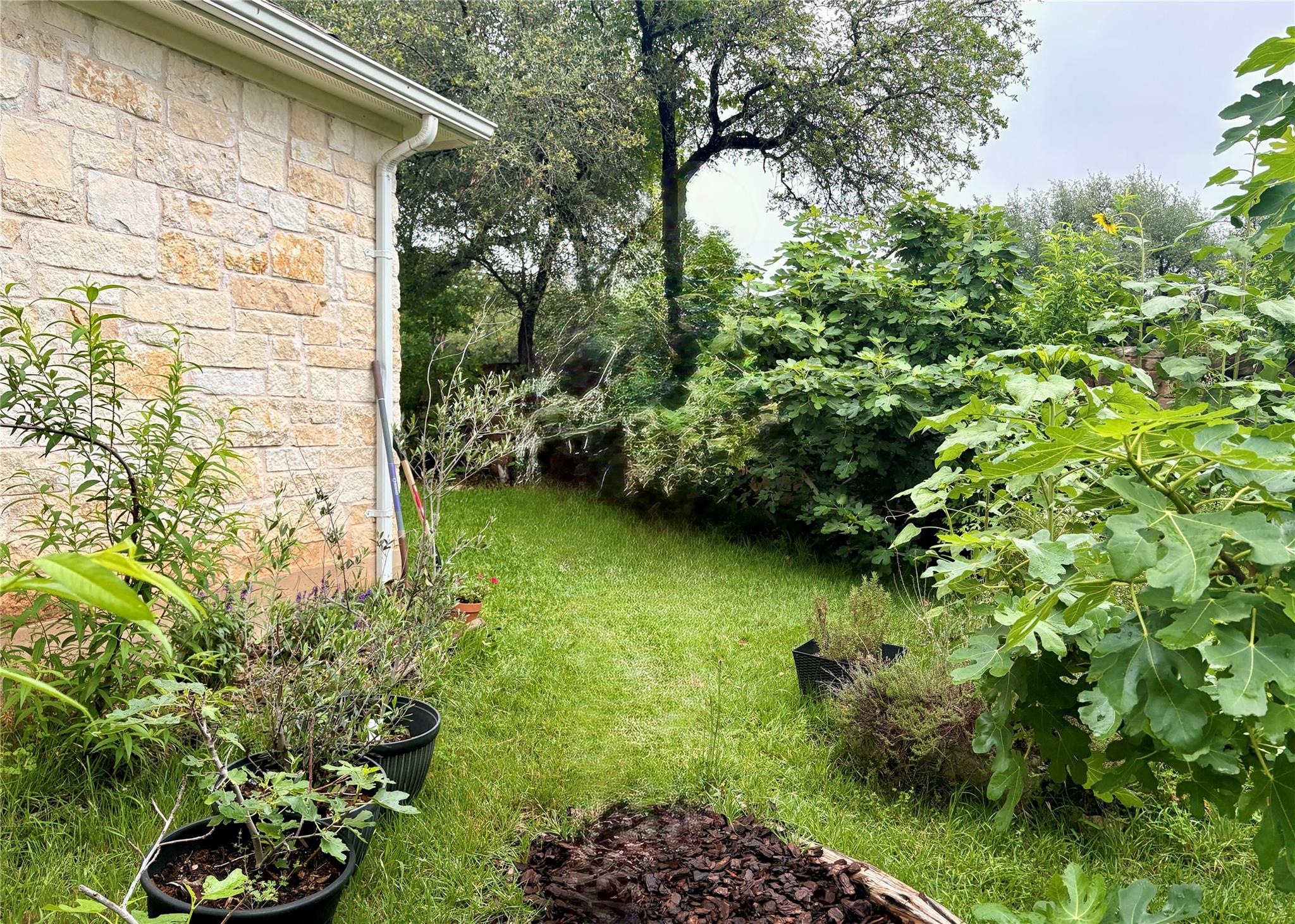 4025 Wilderness Path Bnd, Cedar Park, TX 78613