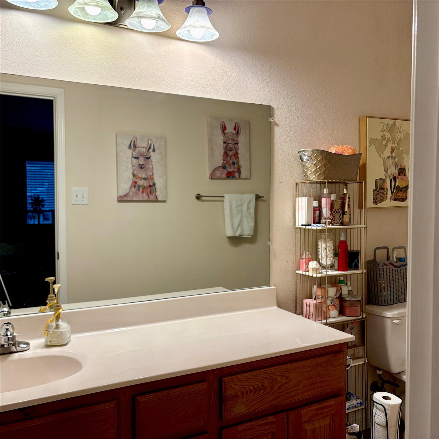 4025 Wilderness Path Bnd, Cedar Park, TX 78613