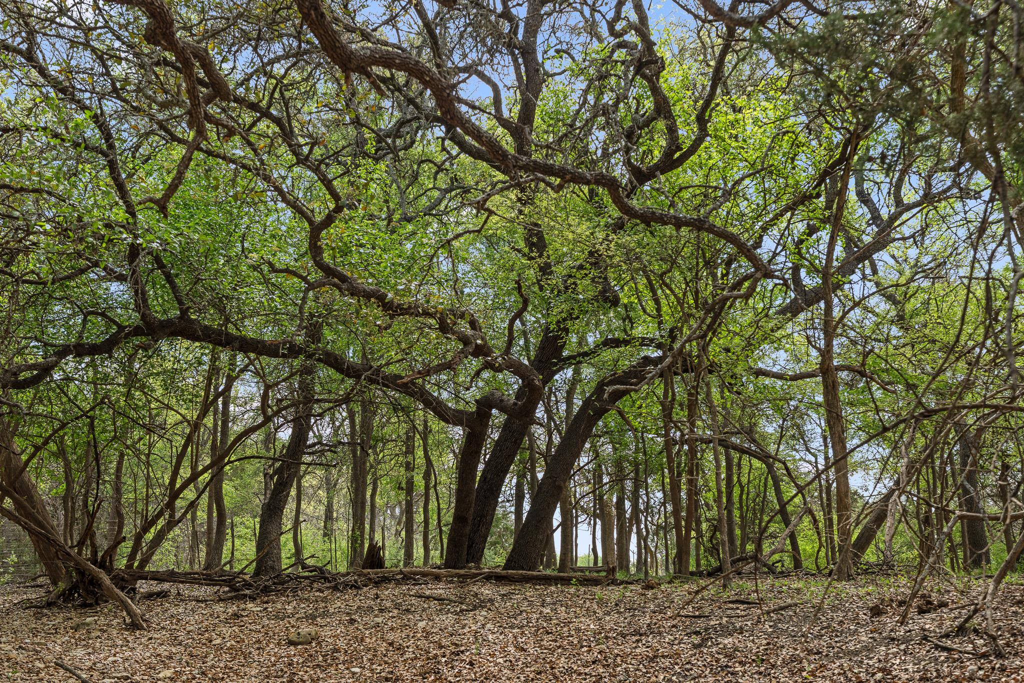 3680 County Road 245, Florence, TX 76527