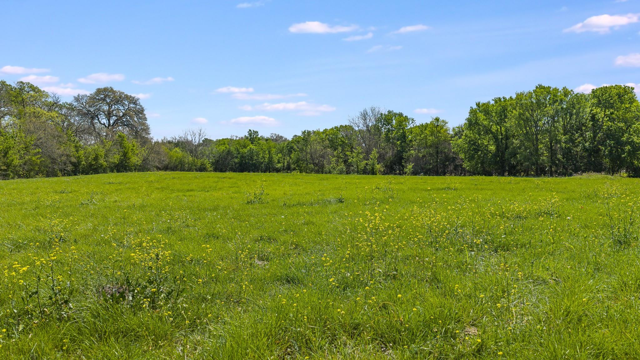 3680 County Road 245, Florence, TX 76527