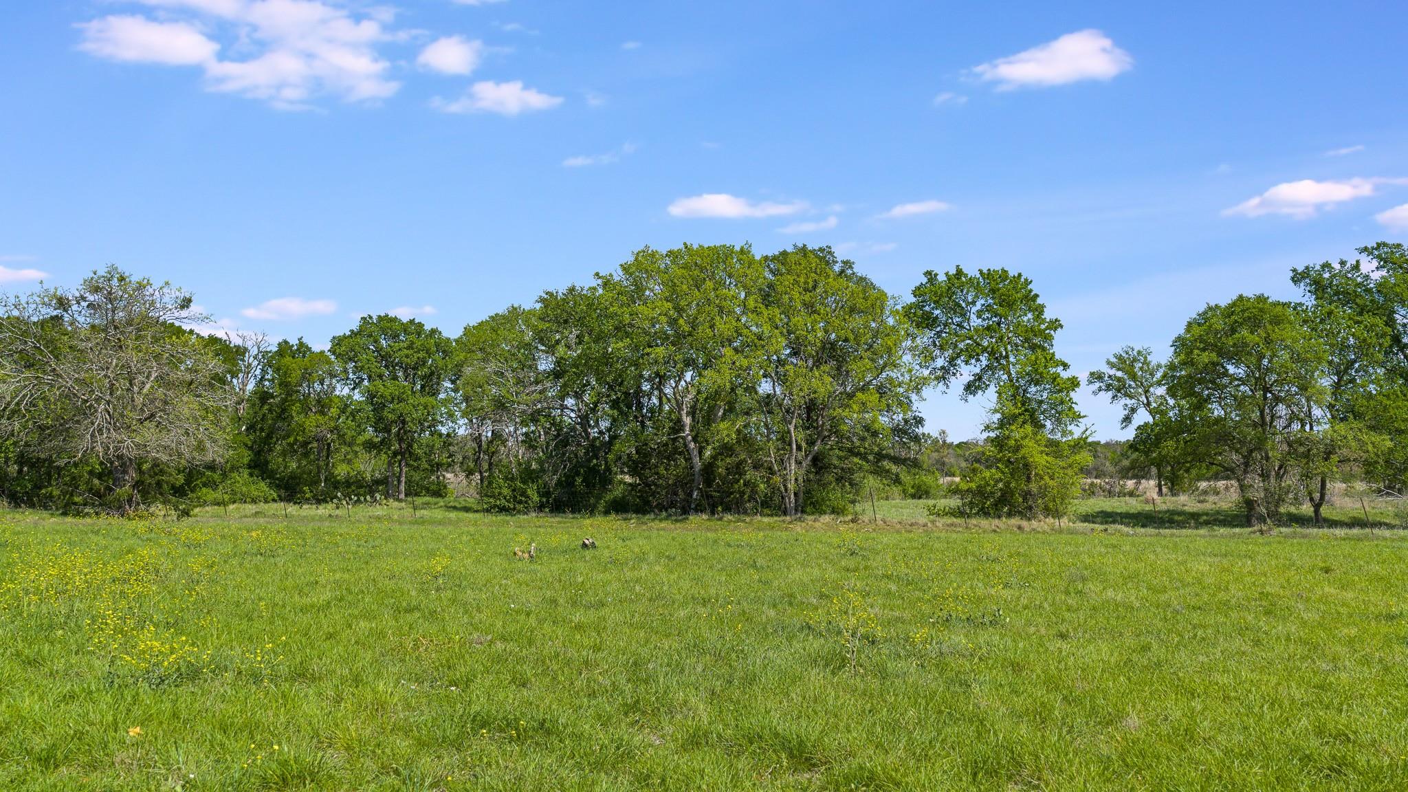 3680 County Road 245, Florence, TX 76527