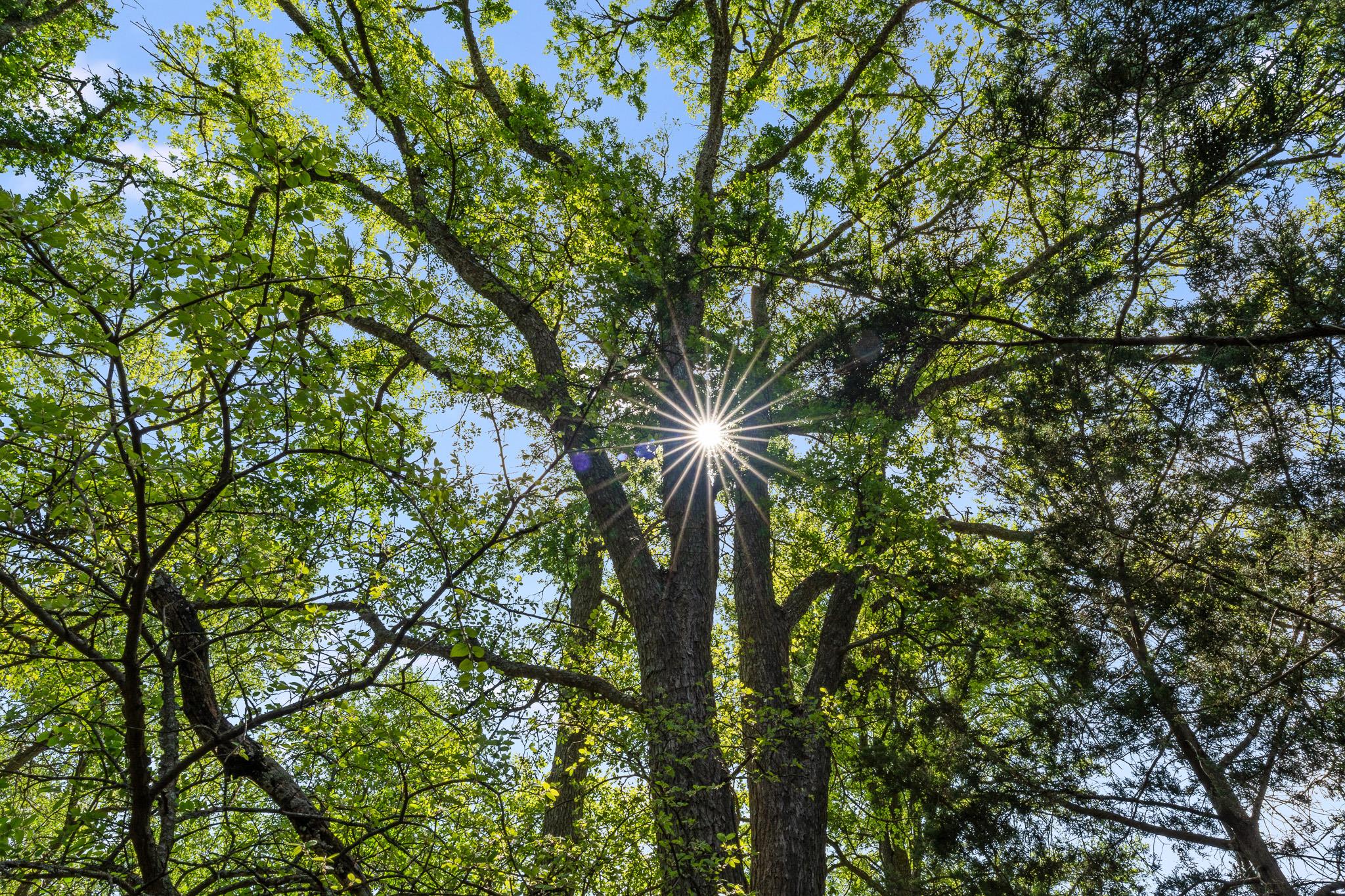 3680 County Road 245, Florence, TX 76527