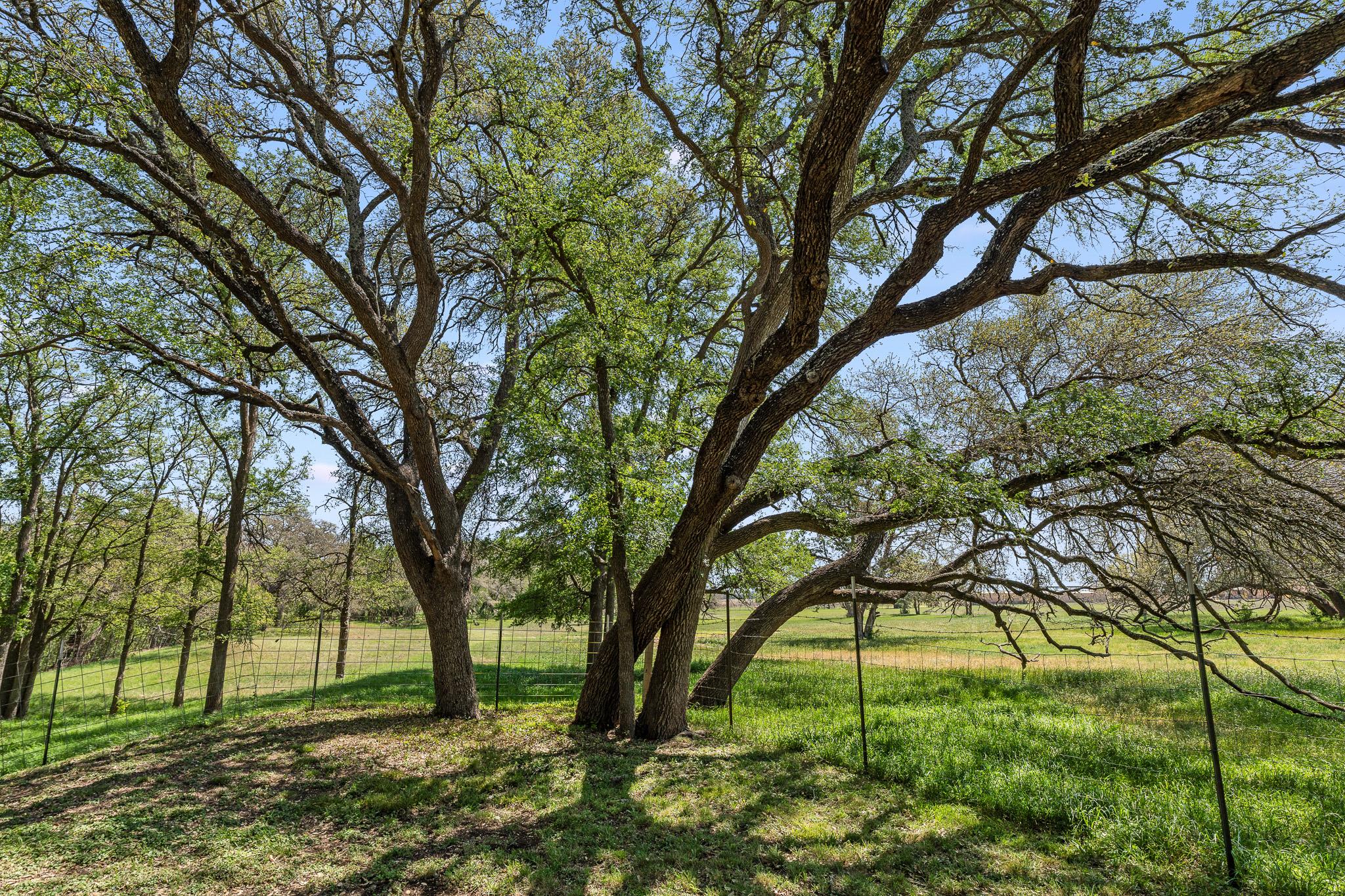 3680 County Road 245, Florence, TX 76527