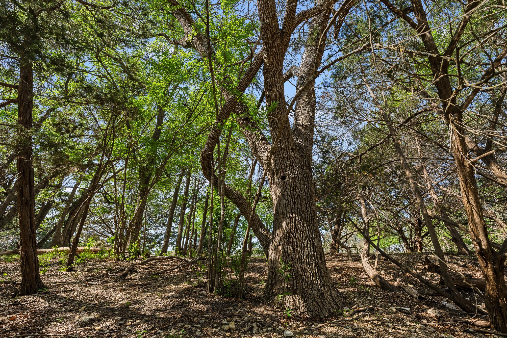 3680 County Road 245, Florence, TX 76527