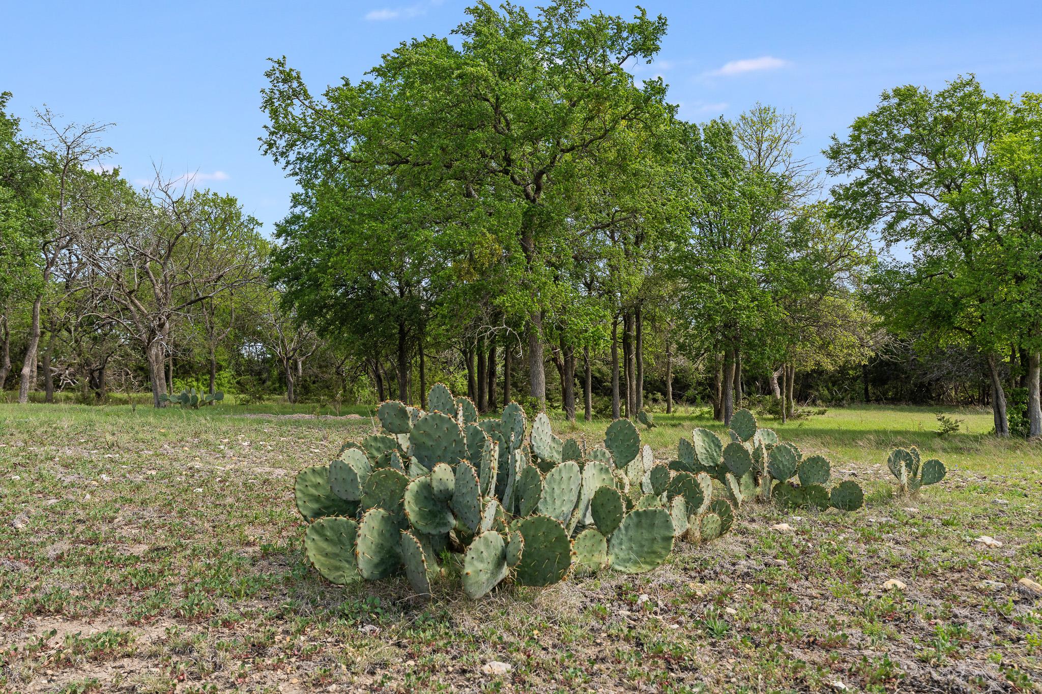 3680 County Road 245, Florence, TX 76527