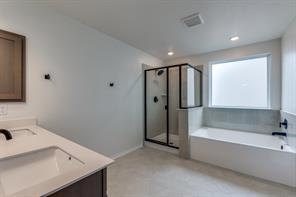 3914 La Contenta Ln, Round Rock, TX 78665